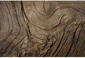 Obrázok ku Pre drevárov