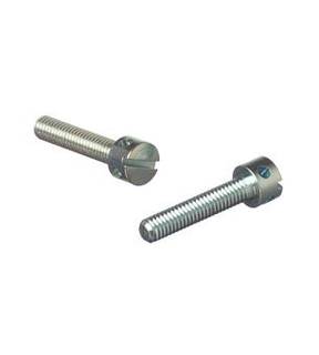 Obrázok ku produktu Skrutka M5x12 DIN 404 5.8 Zn VH+RD plombovacia