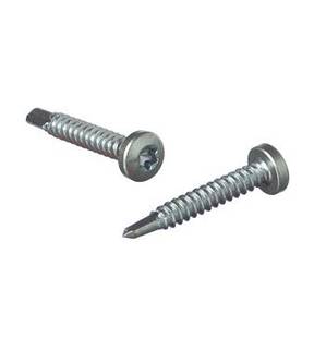 Obrázok ku produktu Sam. 4,2x25 DIN 7504N Zn PH TX20