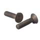 Obrázok ku produktu Skrutka M10x60 DIN 604 4.6 bez PÚ ZH s nos