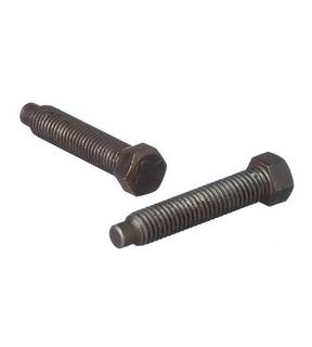 Obrázok ku produktu Skrutka M30x120 DIN 561B 8.8 bez PÚ