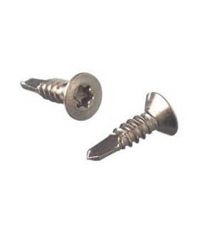 Obrázok ku produktu Samorezka 5,5x45 DIN 7504P A2 TX25