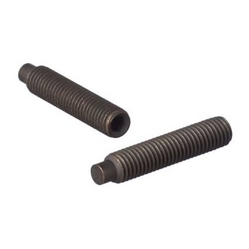 Zväčšený obrázok ku produktu Skrutka M3x10 DIN 915 /45H/ bez PÚ I+C
