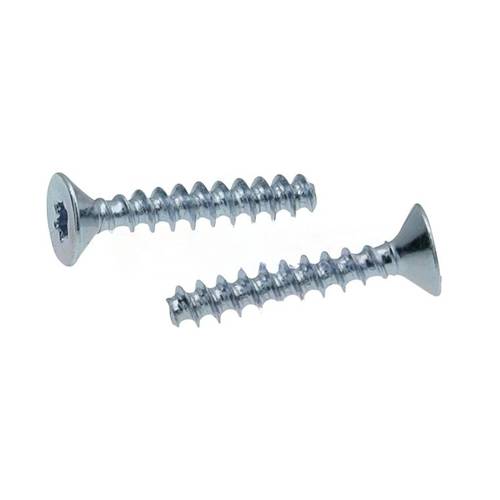 Zväčšený obrázok ku produktu Skrutka 4x16 ZH TX20 Zn do plastu 30°