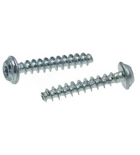 Obrázok ku produktu Skrutka 5x25 PH+L TX20 Zn do plastu 30°