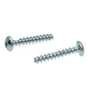 Obrázok ku produktu Skrutka 3x18 PH TX10 Zn do plastu 30°