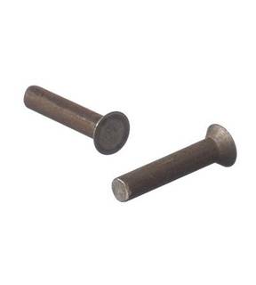 Obrázok ku produktu Nit 8x45 DIN 661 Fe