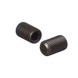 Obrázok ku produktu Skrutka M5x14 DIN 913 /45H/ bez PÚ I+P