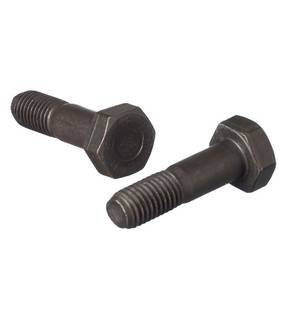 Obrázok ku produktu Skrutka M12x100 EN 14399-4 10.9 PEINER