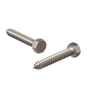 Obrázok ku produktu Samorezka 5,5x19 DIN 7976C A2