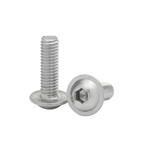 Obrázok ku produktu Skrutka M10x60 ISO 7380-2 FL A2