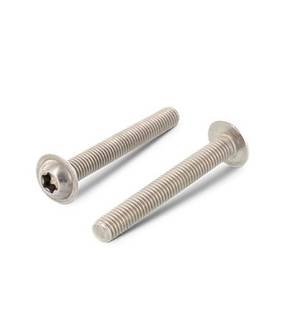 Obrázok ku produktu Skrutka M3x4 ISO 7380-2 FL TX20 A2