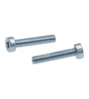 Obrázok ku produktu Skrutka M3x6 ISO 14580 8.8 Zn TX10