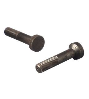 Obrázok ku produktu Skrutka kovaná M20x100x10 1325 DIN 792