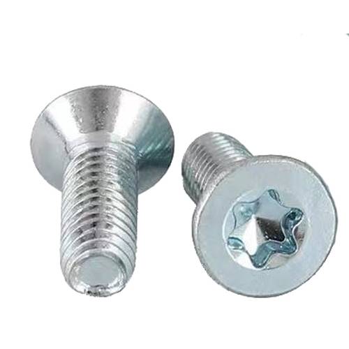 Zväčšený obrázok ku produktu Samorezka 4x10 DIN 7500M ZH TX20 Zn