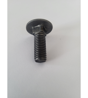 Obrázok ku produktu Skrutka M6x100 DIN 603 4.6 bez PÚ