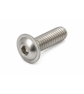 Obrázok ku produktu Skrutka M5x55 ISO 7380-2 FL A4