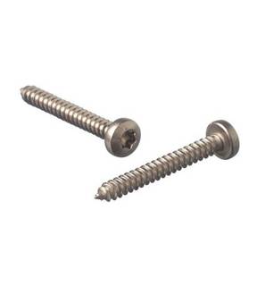 Obrázok ku produktu Samorezka 4,2x25 DIN 7981C PH TX20 A2